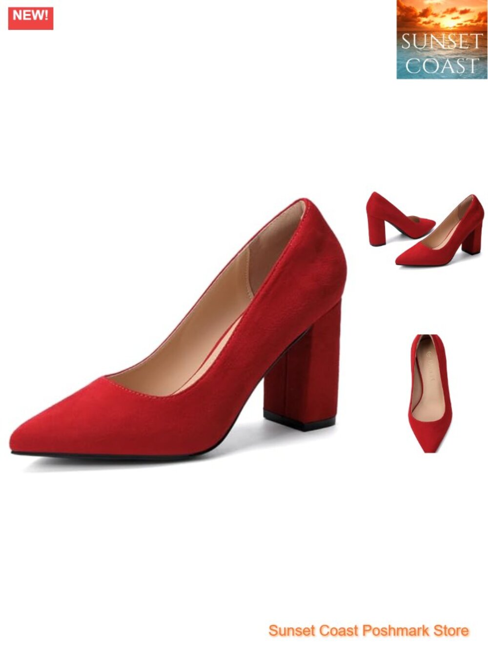 Women's Chunky Block Heel Pointed Toe Dress Pumps